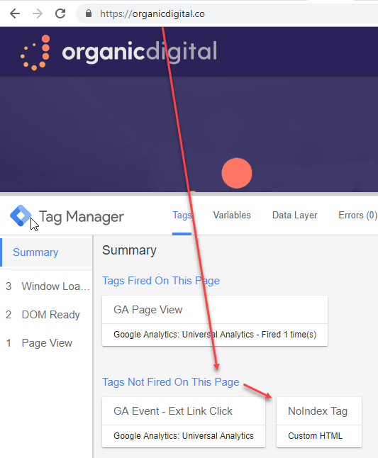 NoIndex Tag Not Firing