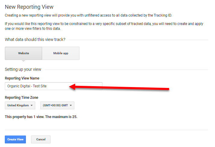 Reporting View Name